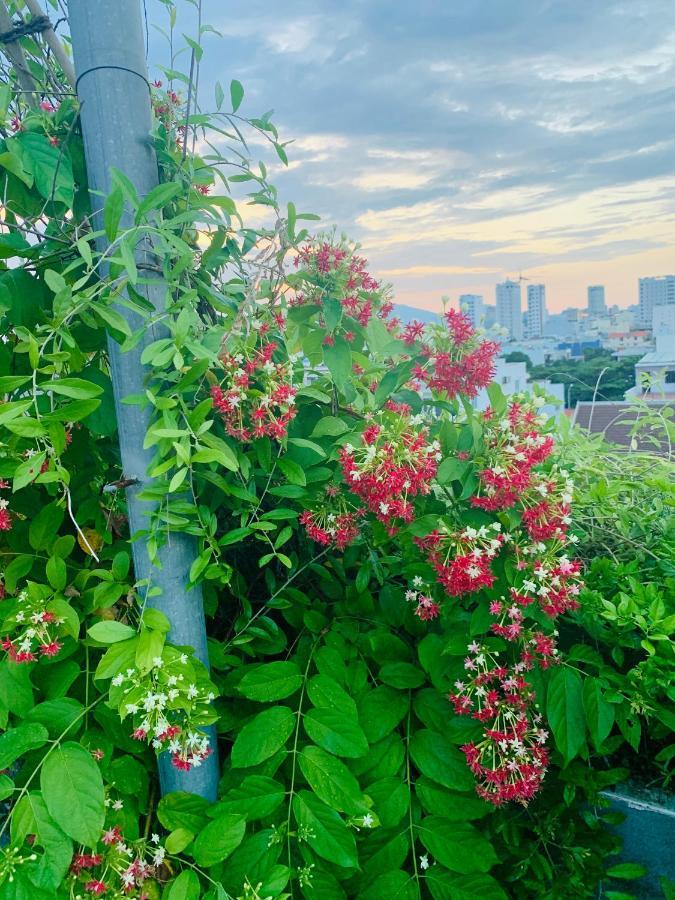 岘港艾尼莫绿色家园别墅 外观 照片